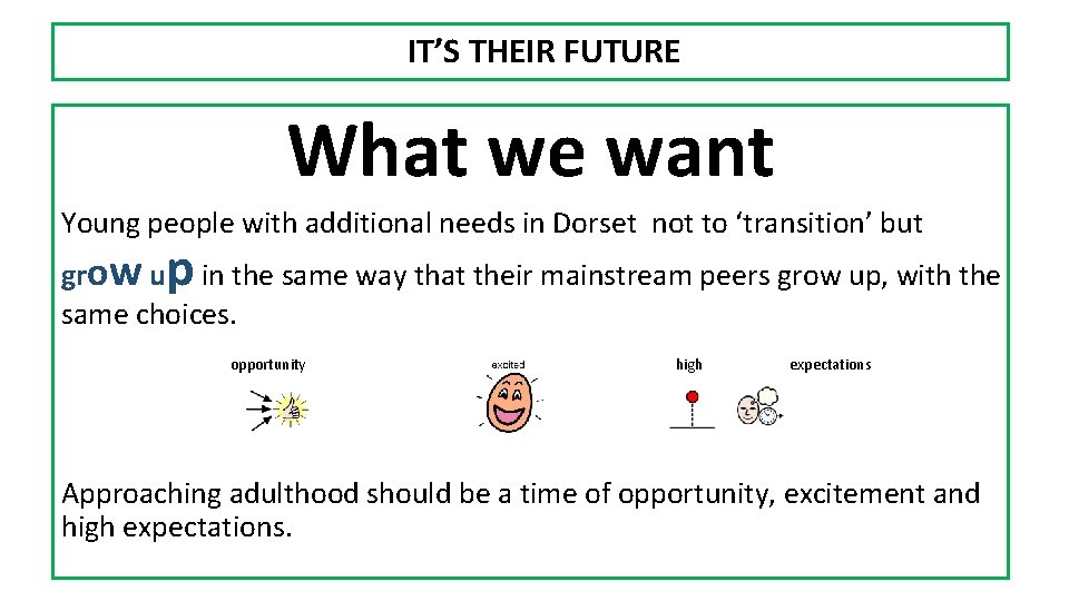 IT’S THEIR FUTURE What we want Young people with additional needs in Dorset not