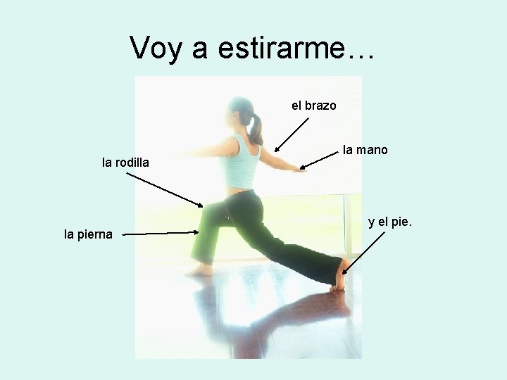 Voy a estirarme… el brazo la rodilla la pierna la mano y el pie.