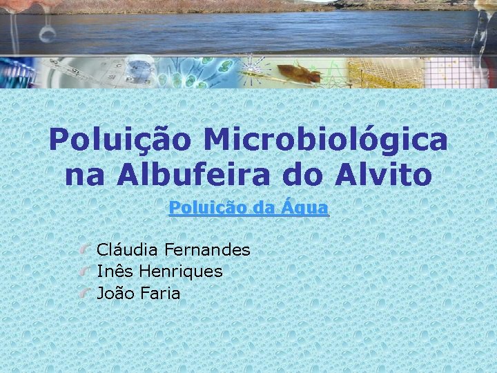 Poluição Microbiológica na Albufeira do Alvito Poluição da Água Cláudia Fernandes Inês Henriques João