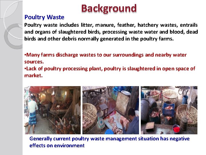 Poultry Waste Background Poultry waste includes litter, manure, feather, hatchery wastes, entrails and organs