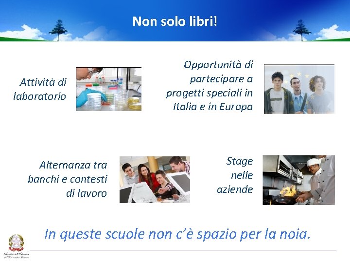 Non solo libri! Attività di laboratorio Alternanza tra banchi e contesti di lavoro Opportunità