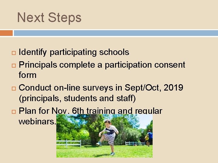 Next Steps Identify participating schools Principals complete a participation consent form Conduct on-line surveys