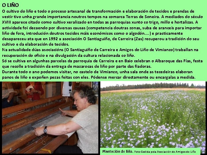 O LIÑO O cultivo do liño e todo o proceso artesanal de transformación e