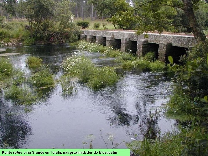 Ponte sobre o río Grande en Torelo, nas proximidades do Mosquetín 