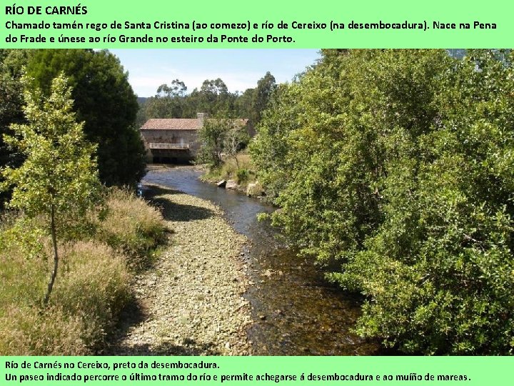 RÍO DE CARNÉS Chamado tamén rego de Santa Cristina (ao comezo) e río de