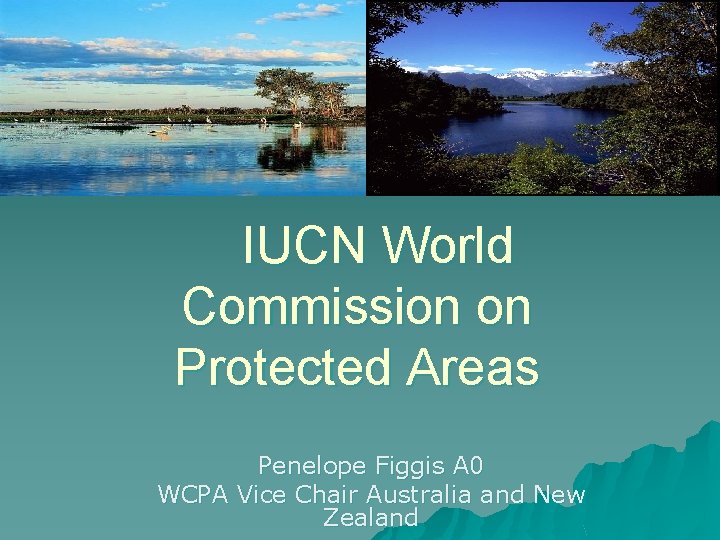 IUCN World Commission on Protected Areas Penelope Figgis A 0 WCPA Vice Chair Australia