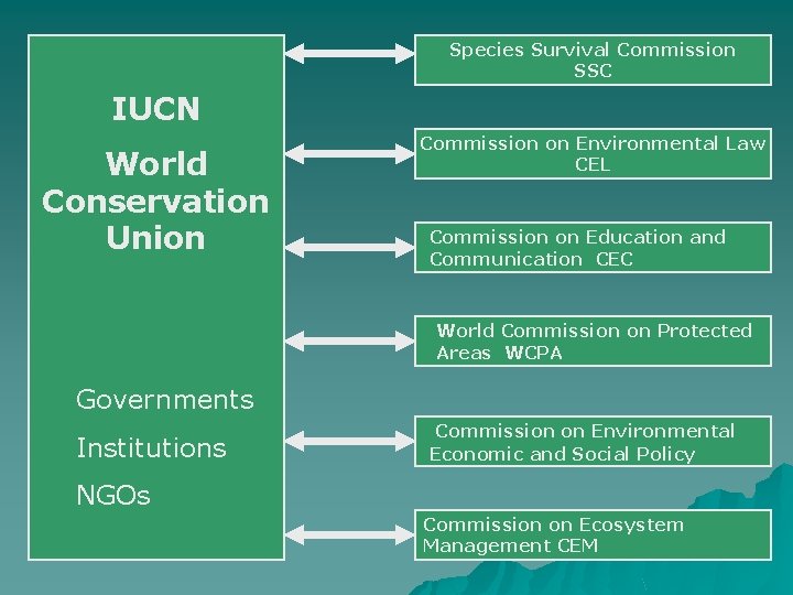 Species Survival Commission SSC IUCN World Conservation Union Commission on Environmental Law CEL Commission