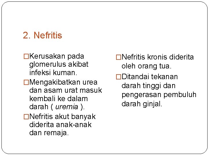Nefritis Adalah Kerusakan Studi Indonesia