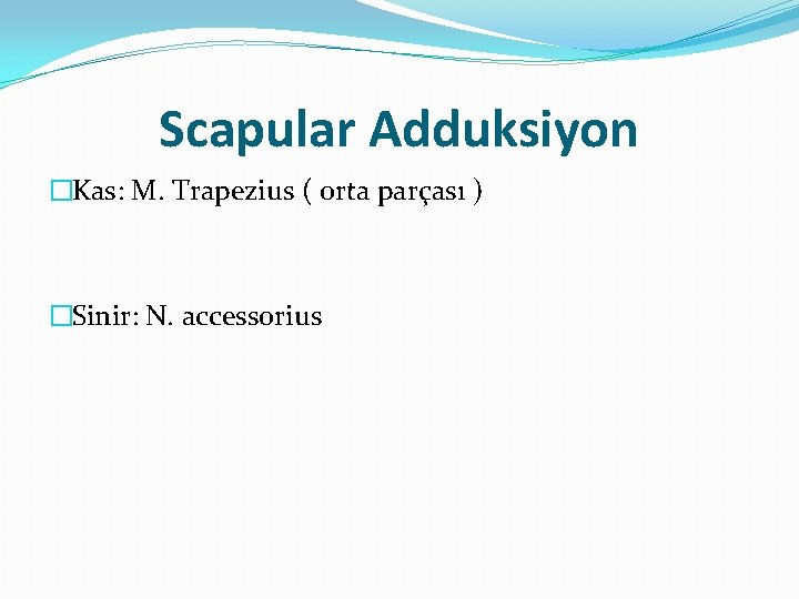 Scapular Adduksiyon �Kas: M. Trapezius ( orta parçası ) �Sinir: N. accessorius 