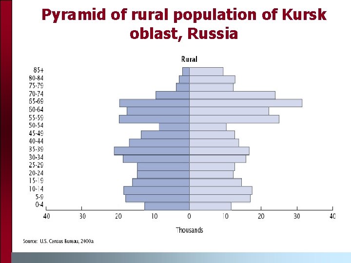 Pyramid of rural population of Kursk oblast, Russia 