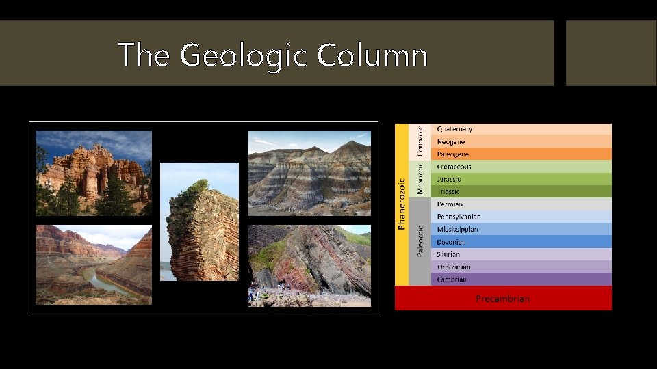 The Geologic Column 