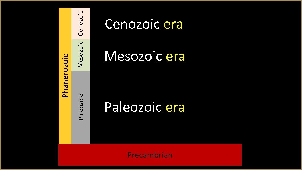 Mesozoic Cenozoic Paleozoic Phanerozoic Cenozoic era Mesozoic era Paleozoic era Precambrian 