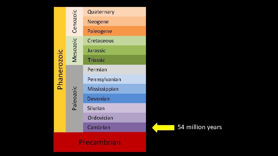 Mesozoic Cenozoic Neogene Paleogene Cretaceous Jurassic Triassic Permian Pennsylvanian Paleozoic Phanerozoic Quaternary Mississippian Devonian