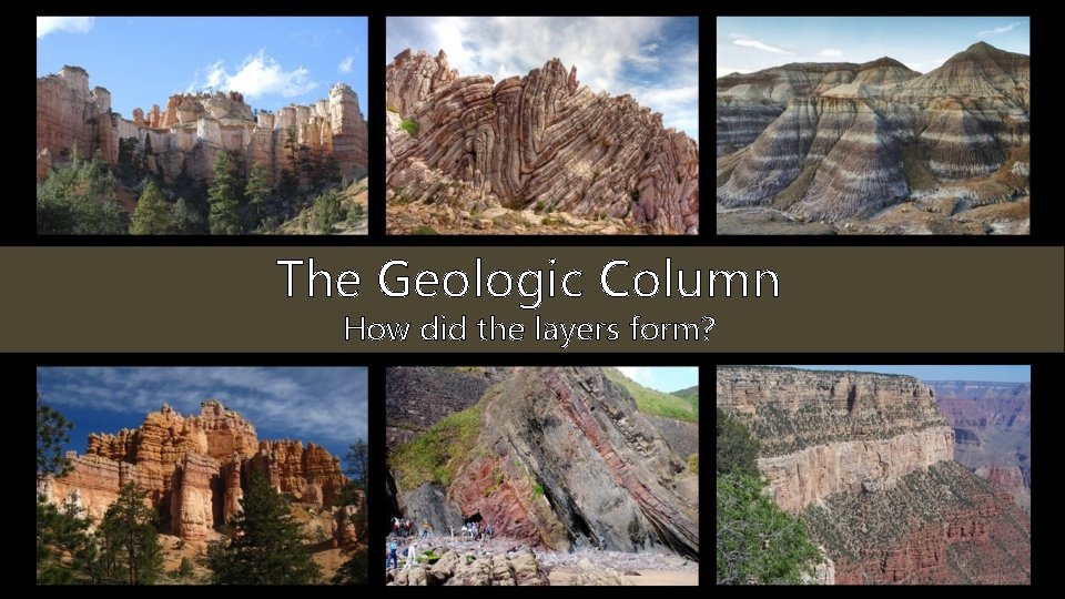 The Geologic Column How did the layers form? 