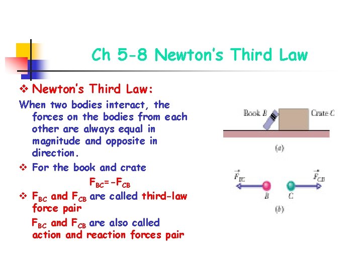 Ch 5 -8 Newton’s Third Law v Newton’s Third Law: When two bodies interact,