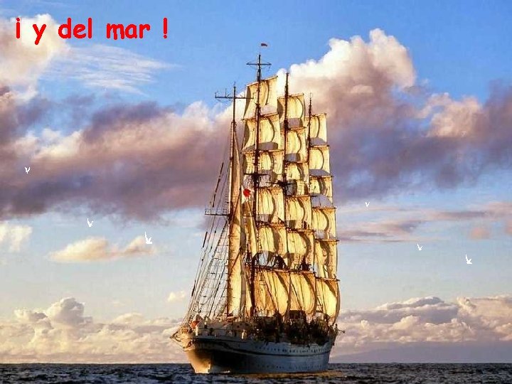 ¡ y del mar ! 