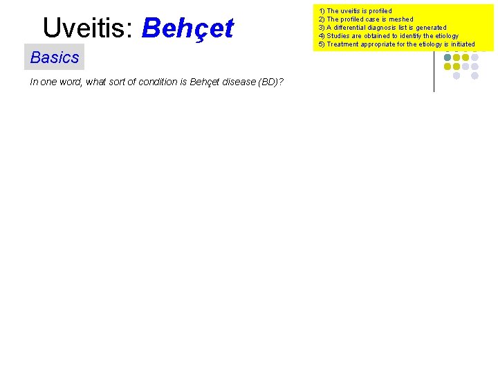 Uveitis: Behçet Basics In one word, what sort of condition is Behçet disease (BD)?