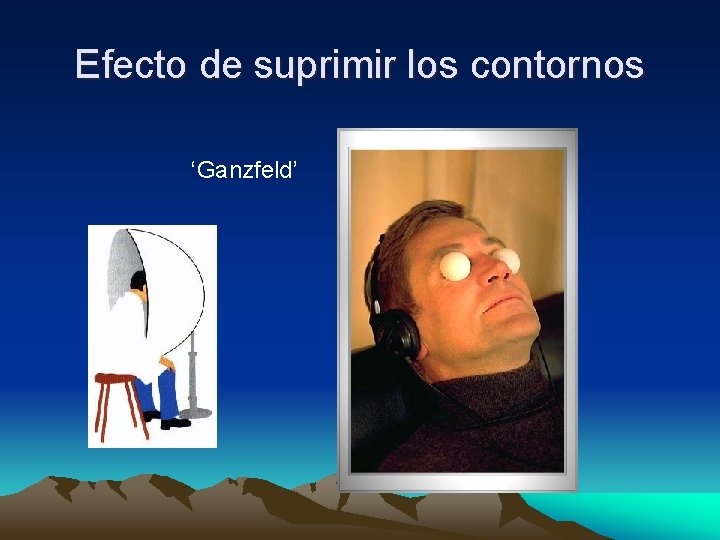 Efecto de suprimir los contornos ‘Ganzfeld’ 