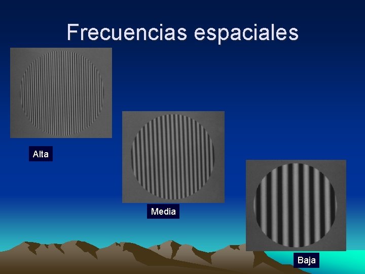 Frecuencias espaciales Alta Media Baja 