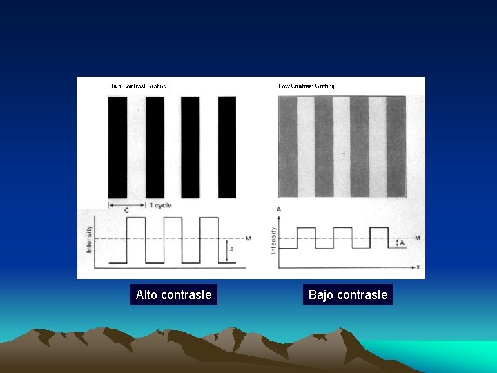 Alto contraste Bajo contraste 