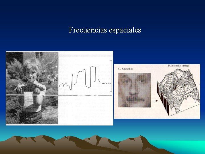 Frecuencias espaciales 