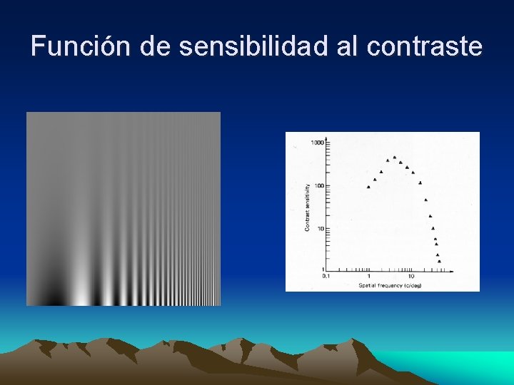 Función de sensibilidad al contraste 