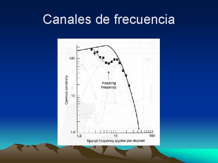 Canales de frecuencia 