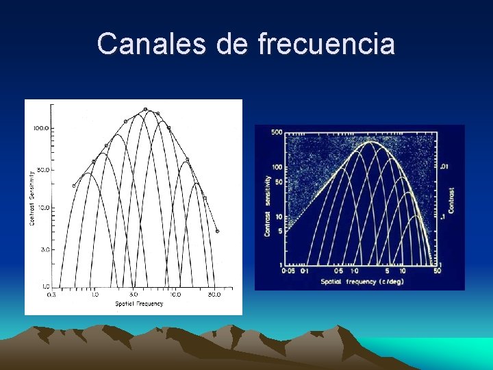 Canales de frecuencia 