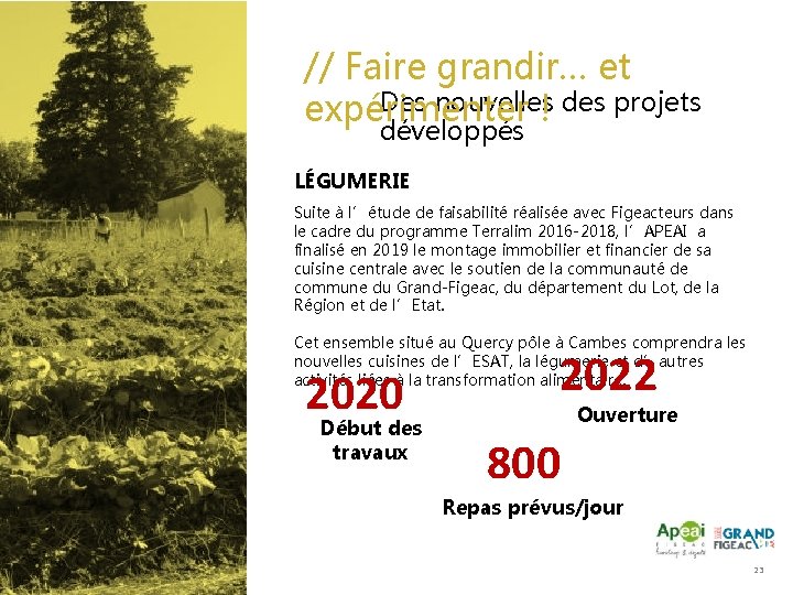 // Faire grandir… et Des nouvelles des projets expérimenter ! développés LÉGUMERIE Suite à