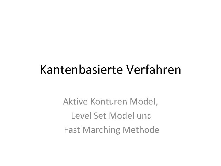 Kantenbasierte Verfahren Aktive Konturen Model, Level Set Model und Fast Marching Methode 