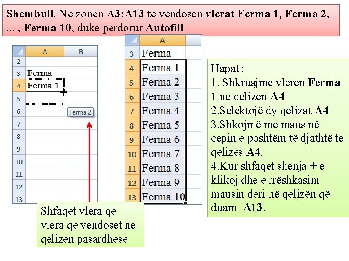 Shembull. Ne zonen A 3: A 13 te vendosen vlerat Ferma 1, Ferma 2,