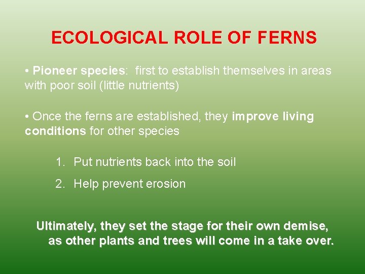 ECOLOGICAL ROLE OF FERNS • Pioneer species: first to establish themselves in areas with