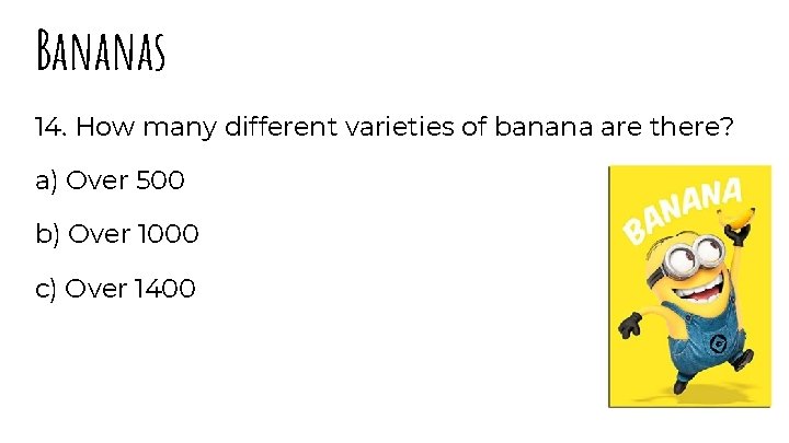 Bananas 14. How many different varieties of banana are there? a) Over 500 b)