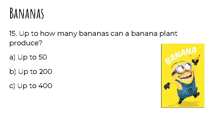 Bananas 15. Up to how many bananas can a banana plant produce? a) Up