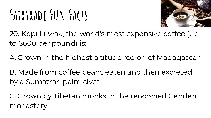 Fairtrade Fun Facts 20. Kopi Luwak, the world’s most expensive coffee (up to $600