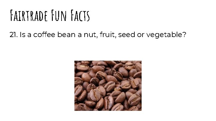 Fairtrade Fun Facts 21. Is a coffee bean a nut, fruit, seed or vegetable?