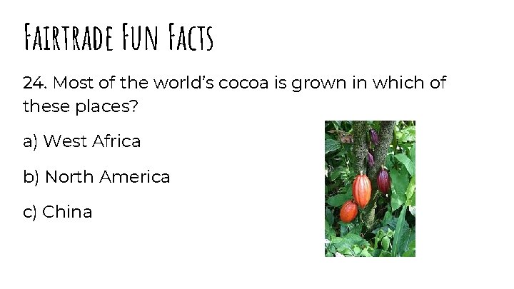 Fairtrade Fun Facts 24. Most of the world’s cocoa is grown in which of