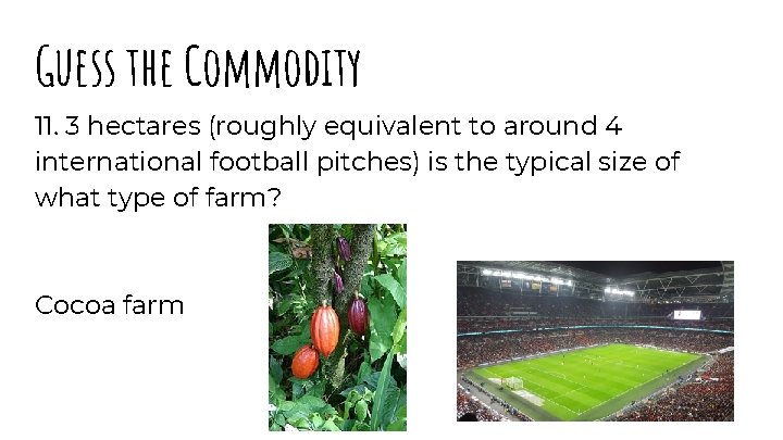 Guess the Commodity 11. 3 hectares (roughly equivalent to around 4 international football pitches)