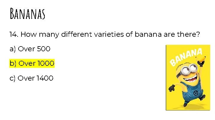 Bananas 14. How many different varieties of banana are there? a) Over 500 b)