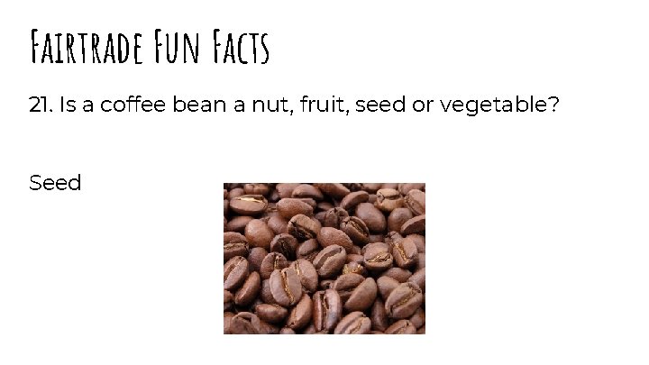 Fairtrade Fun Facts 21. Is a coffee bean a nut, fruit, seed or vegetable?