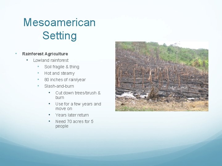 Mesoamerican Setting • Rainforest Agriculture • Lowland rainforest • • Soil fragile & thing