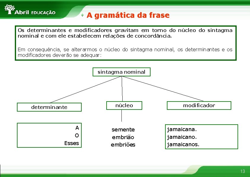 A gramática da frase Os determinantes e modificadores gravitam em torno do núcleo do