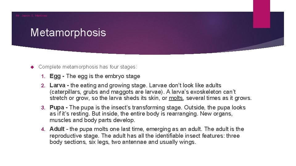 Mr. Jason S. Martinez Metamorphosis Complete metamorphosis has four stages: 1. Egg - The Mr. Jason S. Martinez Metamorphosis Complete metamorphosis has four stages: 1. Egg - The