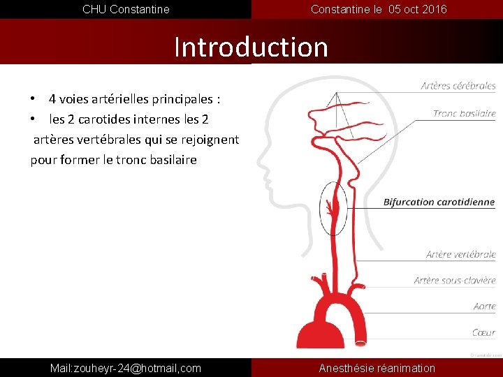  CHU Constantine le 05 oct 2016 Introduction • 4 voies artérielles principales :