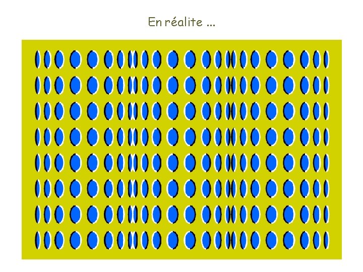 En réalite. . . 