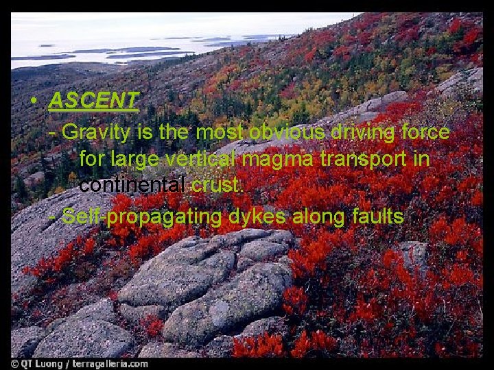  • ASCENT - Gravity is the most obvious driving force for large vertical