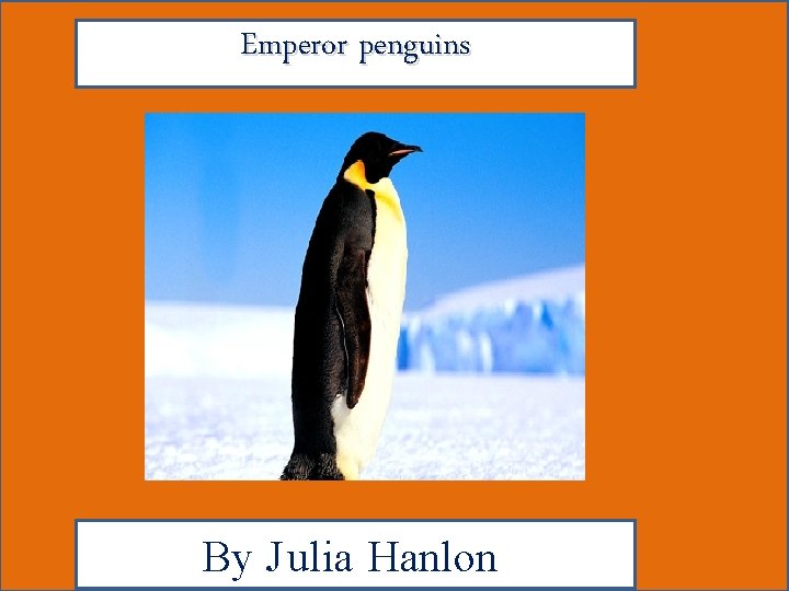 Emperor penguins By J ulia Hanlon 