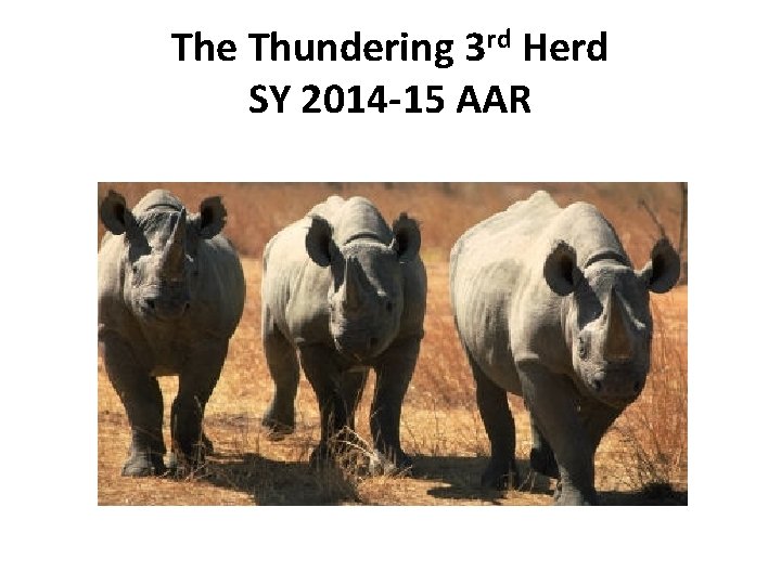 The Thundering 3 rd Herd SY 2014 -15 AAR 