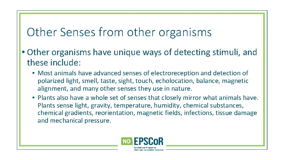 Other Senses from other organisms • Other organisms have unique ways of detecting stimuli,