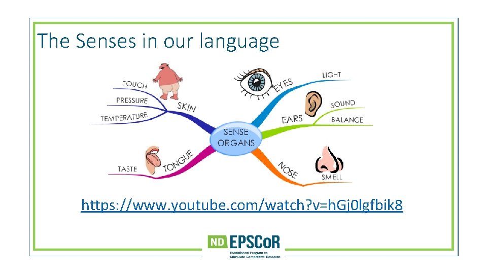 The Senses in our language https: //www. youtube. com/watch? v=h. Gj 0 lgfbik 8